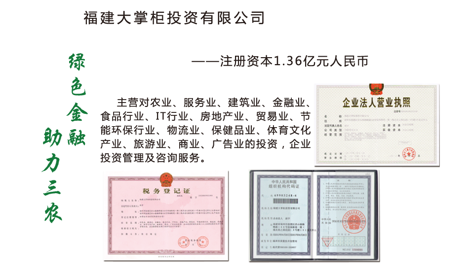 大掌柜投资有限公司