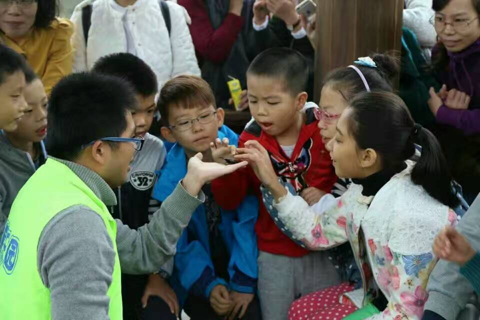 森林学校